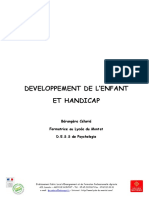 Developpement_de_l_enfant_et_handicap
