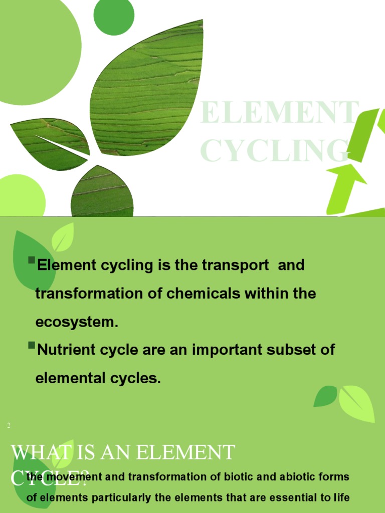 Understanding Element Cycling in Ecosystems | PDF | Ion | Chemical Elements