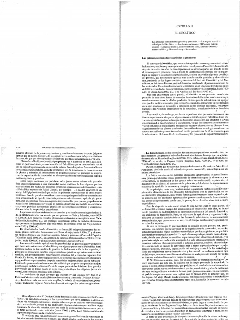 Eiroa Neolitico Cap11 Pdf
