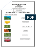 Interesting Plant Facts Worksheets