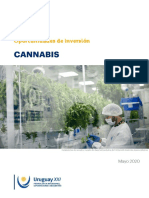 Cannabis Uruguay XXI ESP