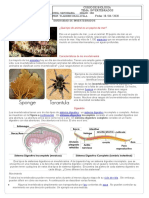 2do Atlas - Clase Jun 10