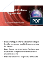 Desarrollo Del Sistema Tegumentario