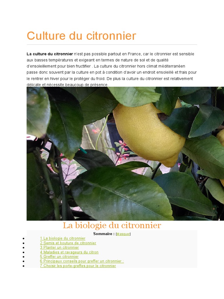 Greffe et culture du citronnier PDF Citron Greffe (botanique) — free download
