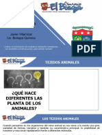 Los principales tejidos animales