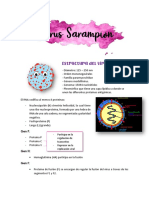 Clase 3 de Virus 22 de Mayo (Sarampion y Rabia)