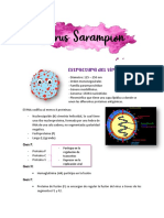 Estructura y patogenia del virus del sarampión