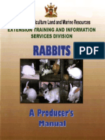 Rabbit_ Manual.pdf