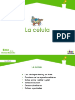 lacelula.ppt