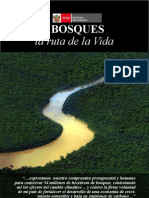 Bosques La Ruta de La Vida