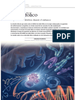 Ácido Fólico: Requerimientos Dietéticos Durante El Embarazo