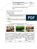 Formato para La Identificación de La Microbianidad en El Suelo