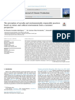 Journal of Cleaner Production: M. Rosario Gonz Alez-Rodríguez, M. Carmen Díaz-Fern Andez, Simonetti Biagio