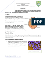 Guia de Ciencias Naturales 1. Ciclo II 2P