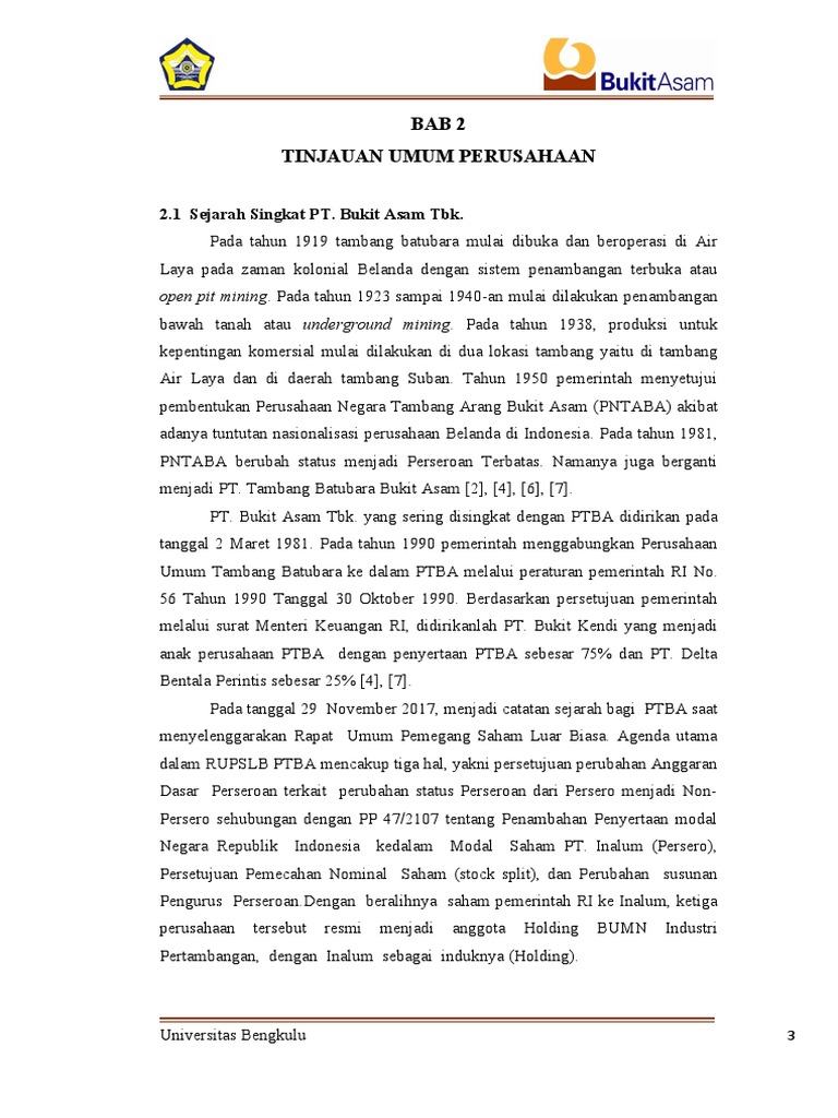 Bab 2 Tinjauan Umum Perusahaan | PDF | Teknologi & Rekayasa