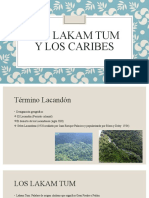 LOS LAKAM TUM Y LOS CARIBES: PUEBLOS ORIGINARIOS DE LA SELVA LACANDONA