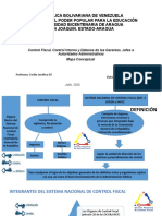 Mapa Conceptual Control Fiscal