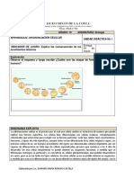 BIOLOGIA Guia 10 Grado PDF