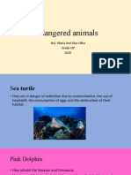 Endangered Animals: Bay María José Díaz Ulloa Grade 10° 2020