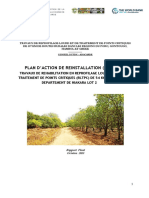 rapport-final-Niakara-lot2-VF.pdf
