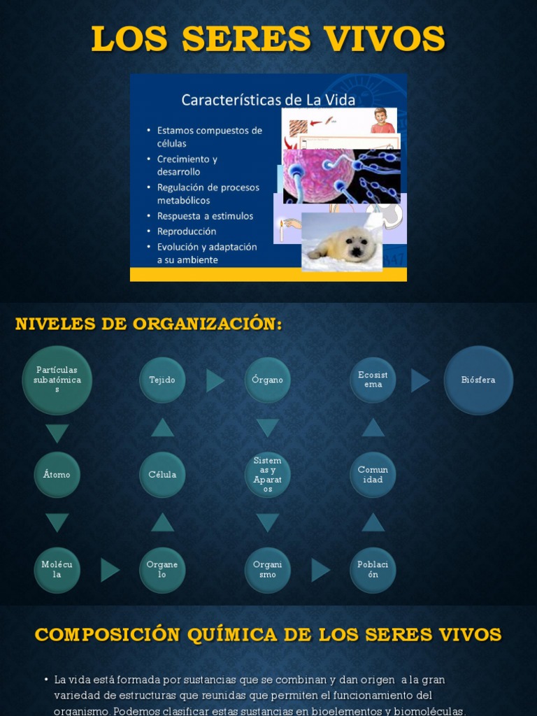 Los Seres Vivos PDF | PDF | Biomoléculas | Organismos
