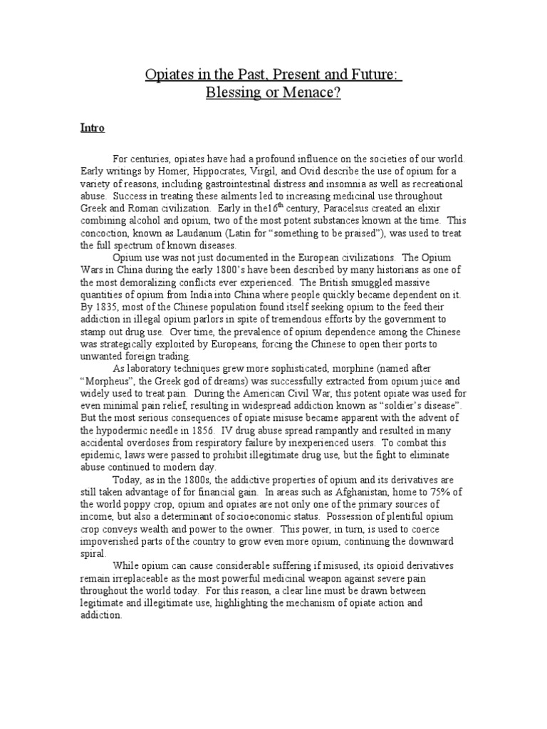 Opioid epidemic essay picture