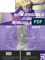 Derecho Internacional de Los DDHH y Derecho Internacional Humanitario PDF