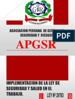 8 pasos para la implementacion de la Ley 29783 - APGSR.pdf