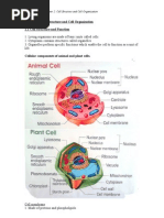 Download Form 4 Biology Chapter 2 Cell Structure  Cell Organisation by Gerard Selvaraj SN46963019 doc pdf