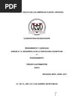 Pensamiento y Lenguaje Unidad 8