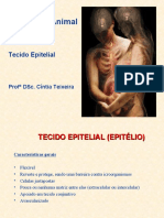 Tecido Epitelial