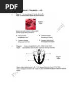 Download Form 5 Biology Chapter 1 Transport by Gerard Selvaraj SN46963317 doc pdf