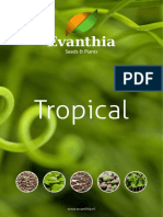 Brochure Tropical Web