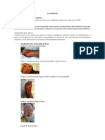 Pie Diabético PDF