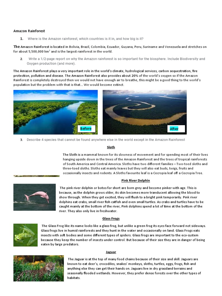 Science - Amazon Rainforest | PDF | Amazon Rainforest | Frog