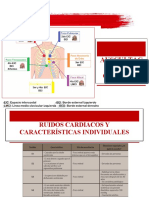 Focos de Auscultación Cardiaca y Ruidos Cardiacos