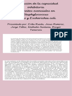 Aceite Eucalipto Grupo 6 PDF