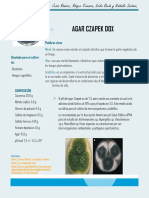 Agar Czapek Grupo 6 PDF
