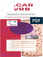 Agar Rba Grupo 6 PDF