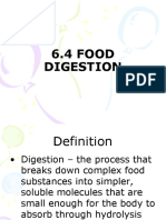 6.5 Food Digestion