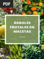 Semillas Manzano Rojo - 10 Unidades Para Maceta O Jardín | Árbol Frutal De Manzana Roja