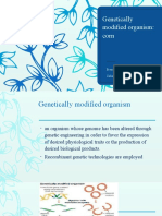 Genetically Modified Organism: Corn: Presented By: Salinas, Ruffa Mae B