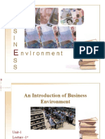 Business Environment 1