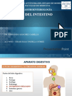 Anatomía y Fisiología Del Intestino Delgado