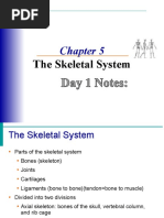 CH 5skeletalsystem