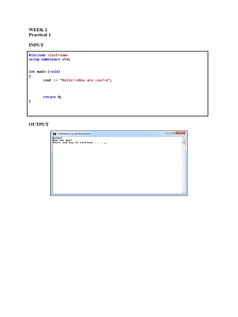 Week 2 Practical 1 Input | PDF | Computers | Technology & Engineering