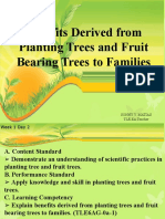 Benefits Derived From Planting Trees and Fruit Bearing Trees To Families