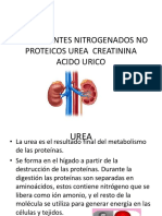 Urea y Creatinina 2019-2020 PDF