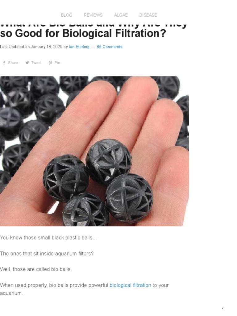 What Are Bio Balls and Why Are They So Good For Biological Filtration ...
