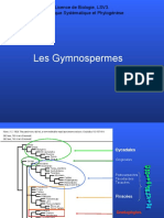 Les Gymnospermes.ppt